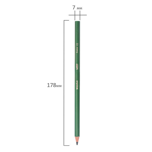 Карандаши цветные BIC "Kids ECOlutions Evolution", 12 ЦВЕТОВ, пластиковые, европодвес, 82902914 - Карандаши цветные