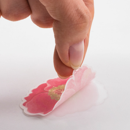 Наклейки для скрапбукинга ПРИРОДА из washi-бумаги, 64 штуки, 32 дизайна, ОСТРОВ СОКРОВИЩ, 662263 - Наклейки для творчества