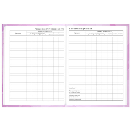 Дневник 5-11 класс 48 л., твердый, BRAUBERG, глянцевая ламинация, с подсказом, "Кактусы", 106628 - Дневники для старших классов