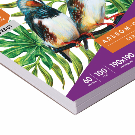 Скетчбук-блокнот для рисования белая бумага 100 г/м2, 190х190 мм, 60 л., КОМПЛЕКТ 2 шт., BRAUBERG, 880273 - Альбомы, скетчбуки и бумага для графики и эскизов