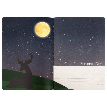 Тетради 60 л. в точку обложка SoftTouch, НАБОР 2 шт., бежевая бумага 70 г/м2, сшивка, B5 (179х250 мм), НОЧЬ, BRAUBERG, 403829 - Тетради более 60 листов