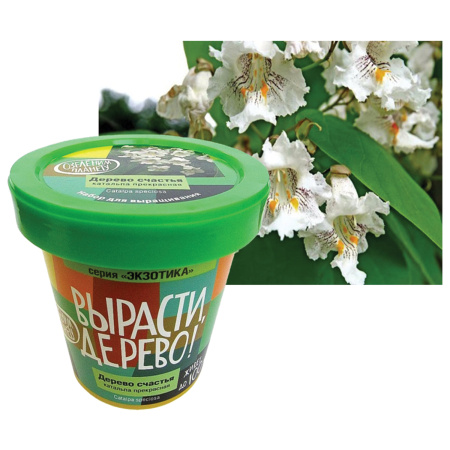 Набор для выращивания растений ВЫРАСТИ ДЕРЕВО! "Дерево счастья Катальпа" (банка, грунт, семена), zk-068 - Наборы для выращивания растений
