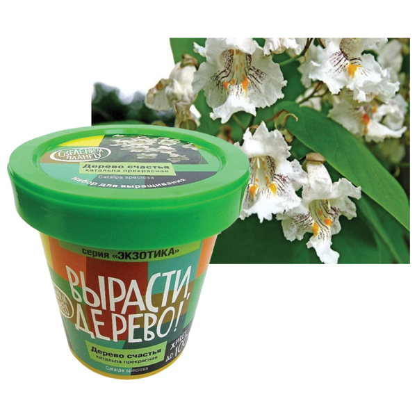 Набор для выращивания растений ВЫРАСТИ ДЕРЕВО! "Дерево счастья Катальпа" (банка, грунт, семена), zk-068 - Наборы для выращивания растений