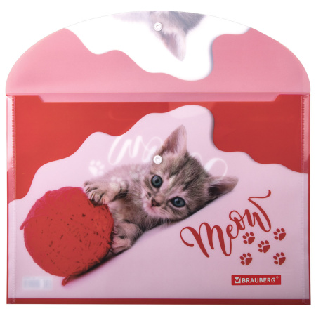 Папка-конверт с кнопкой BRAUBERG "FUNNY CAT", А4, 160 мкм, цветная печать, 228038 - Папки-конверты с кнопкой