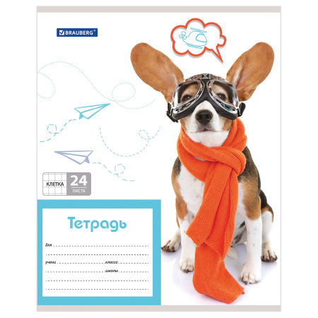 Тетрадь 24 л. BRAUBERG, клетка, обложка картон, MY BEST FRIEND, 403007 - Тетради 12-24 листов