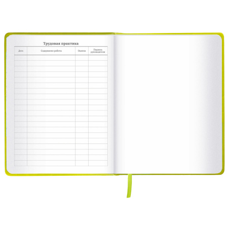 Дневник 1-11 класс 48 л., кожзам (твердая с поролоном), тиснение аппликация, BRAUBERG, "Super Avo", 106205 - Дневники универсальные