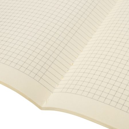 Тетрадь 60 л. в клетку обложка SoftTouch, бежевая бумага 70 г/м2, сшивка, В5 (179х250 мм), СКАЗКА, BRAUBERG, 403811 - Тетради более 60 листов