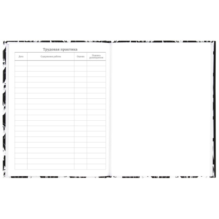 Дневник МП 1-11 класс 48 л., твердый, BRAUBERG, глянцевая ламинация, с подсказом, "Аниме", 106646 - Дневники универсальные