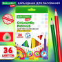 Карандаши цветные BRAUBERG KIDS, 36 цветов, трехгранный корпус, грифель мягкий 3 мм, 181945 - Карандаши цветные