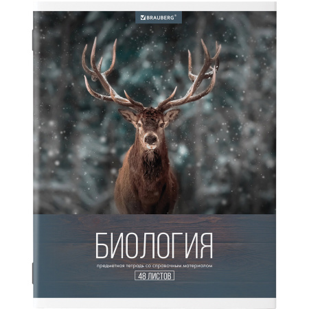 Тетради предметные, КОМПЛЕКТ 10 ПРЕДМЕТОВ, "КЛАССИКА XXI", 48 л., обложка картон, BRAUBERG, 404025 - Тетради предметные