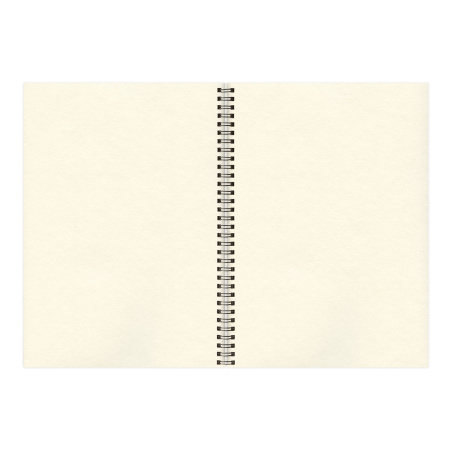 Скетчбук, слоновая кость 150 г/м2, 297х420 мм, 30 л., гребень, BRAUBERG ART CLASSIC, 128946 - Альбомы, скетчбуки и бумага для графики и эскизов