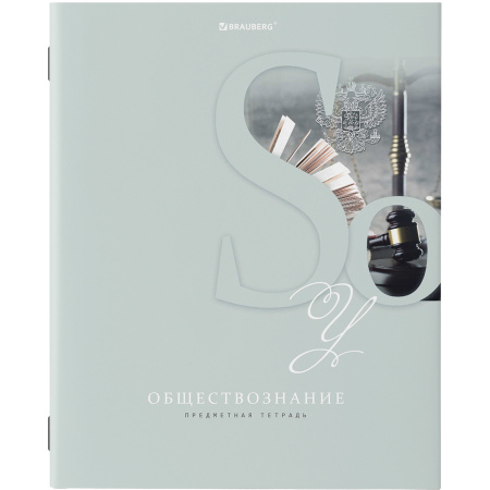 Тетради предметные, КОМПЛЕКТ 12 ПРЕДМЕТОВ, ПАСТЕЛЬНАЯ, 48 листов, обложка картон, BRAUBERG, 404026 - Тетради предметные