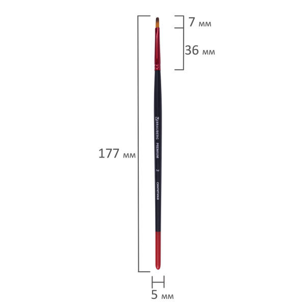 Кисть синтетика, плоская № 2, BRAUBERG PREMIUM, 201011 - Кисти для рисования