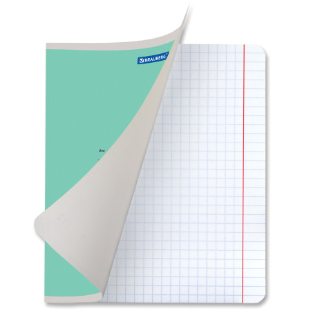 Тетрадь 12 л. BRAUBERG КЛАССИКА NEW крупная клетка, обложка картон, ЗЕЛЕНАЯ, 105689 - Тетради 12-24 листов