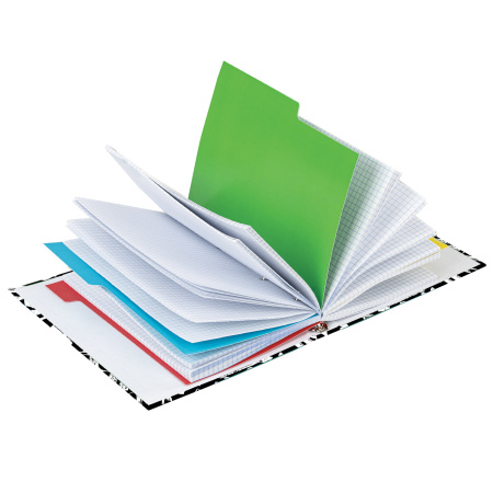 Тетрадь на кольцах А5 (175х215 мм), 240 листов, твердый картон, клетка, с разделителями, BRAUBERG, Calligraphy,404097 - Тетради на кольцах и сменные блоки к ним