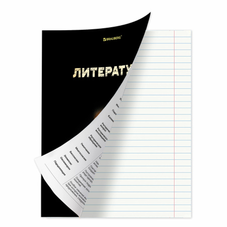 Тетрадь предметная "SHADE" 48 л., глянцевый лак, ЛИТЕРАТУРА, линия, BRAUBERG, 404269 - Тетради предметные