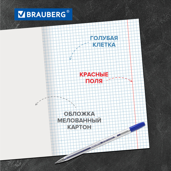 Тетради 24 л. КОМПЛЕКТ 20 шт. BRAUBERG "EXTRA", клетка, плотная бумага 80 г/м2, обложка картон, 880072 - Тетради 12-24 листов