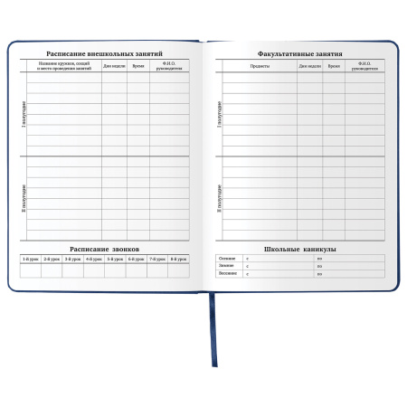 Дневник 1-11 класс 48 л., кожзам (твердая), шелкография, BRAUBERG, "ГРАФФИТИ", 105990 - Дневники универсальные