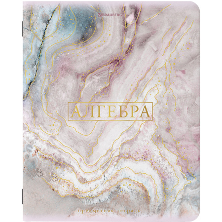 Тетради предметные со справочным материалом, КОМПЛЕКТ 10 ПРЕДМЕТОВ, "PASTEL", 48 л., SoftTouch, фольга, BRAUBERG, 404031 - Тетради предметные