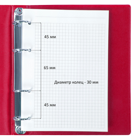 Тетрадь на кольцах А5 (180х220 мм), 80 листов, обложка ПВХ, клетка, BRAUBERG, красный, 403911 - Тетради на кольцах и сменные блоки к ним