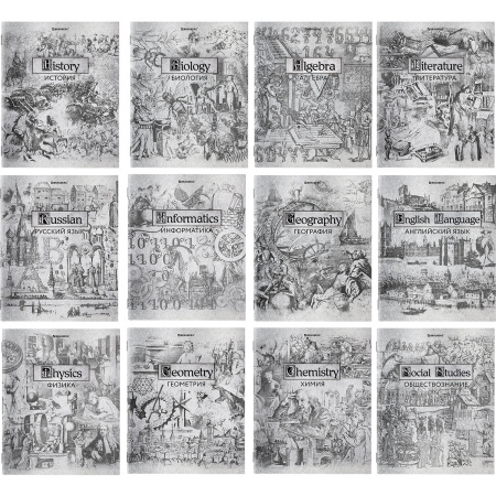 Тетради предметные, КОМПЛЕКТ 12 ПРЕДМЕТОВ, "SILVER", 48 листов, с серебряной обложкой, BRAUBERG, 404034 - Тетради предметные