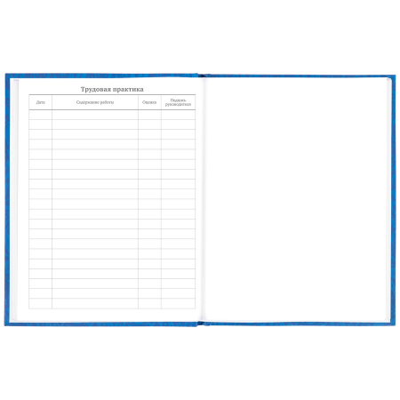 Дневник 5-11 класс 48 л., твердый, BRAUBERG, фольга, с подсказом, "Football", 106416 - Дневники для старших классов