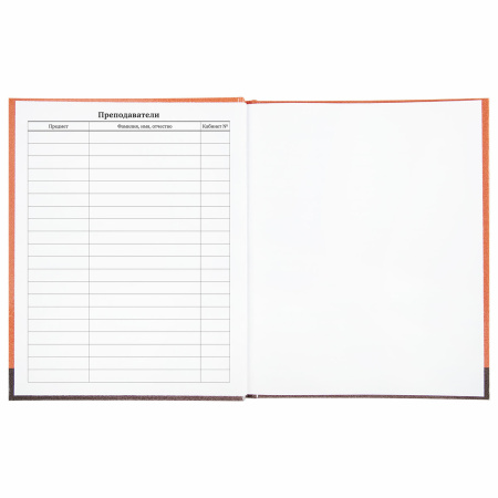 Дневник 1-11 класс 40 л., твердый, BRAUBERG, глянцевая ламинация, "Монстрик", 106383 - Дневники универсальные