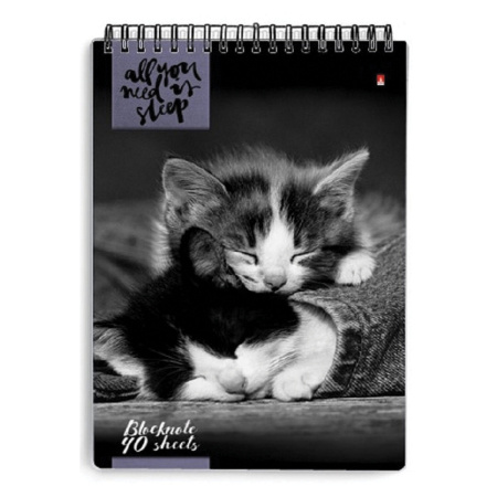 Блокнот А5, 40 л., гребень, ламинированный картон, клетка, Альт, "Кошки", (5 видов), 3-40-462 - Блокноты