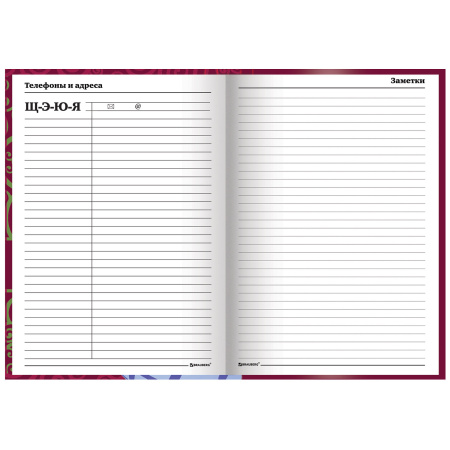 Ежедневник учителя специализированный А5 (215х145 мм), твердая обложка, 144 л., BRAUBERG, "ГЛОБУС", 129233 - Ежедневники с твердой обложкой