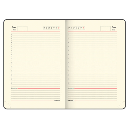 Ежедневник недатированный А5 138х213 мм BRAUBERG "Iguana" под кожу, 160 л., темно-коричневый, 125090 - Ежедневники с покрытием "под кожу и ткань"