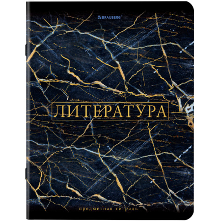 Тетради предметные, КОМПЛЕКТ 12 ПРЕДМЕТОВ, "MARBLE", 48 л., SoftTouch, фольга, BRAUBERG, 404326 - Тетради предметные