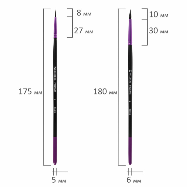 Кисти BRAUBERG PREMIUM, набор 3 шт. (беличьи круглые № 2, 3, 4), блистер, 201020 - Кисти для рисования