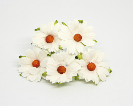 Ромашки белые, диаметр 4 см, 5 шт