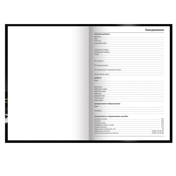 Ежедневник учителя специализированный А5 (215х145 мм), твердая обложка, 144 л., BRAUBERG, "ЯБЛОКО", 129235 - Ежедневники с твердой обложкой