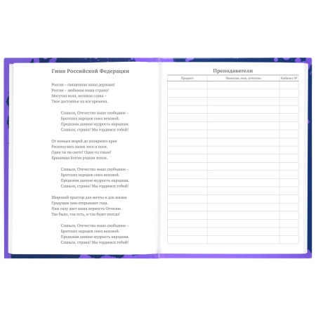 Дневник 5-11 класс 48 л., твердый, BRAUBERG, глянцевая ламинация, с подсказом, "Приставка", 106629 - Дневники для старших классов