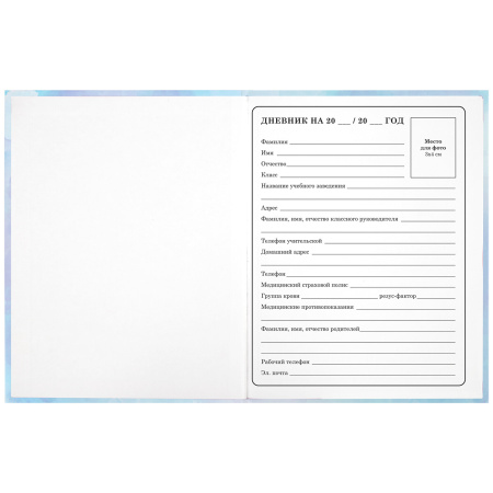 Дневник 1-4 класс 48 л., твердый, ЮНЛАНДИЯ, блестки, с подсказом, "Фея", 106608 - Дневники для младших классов