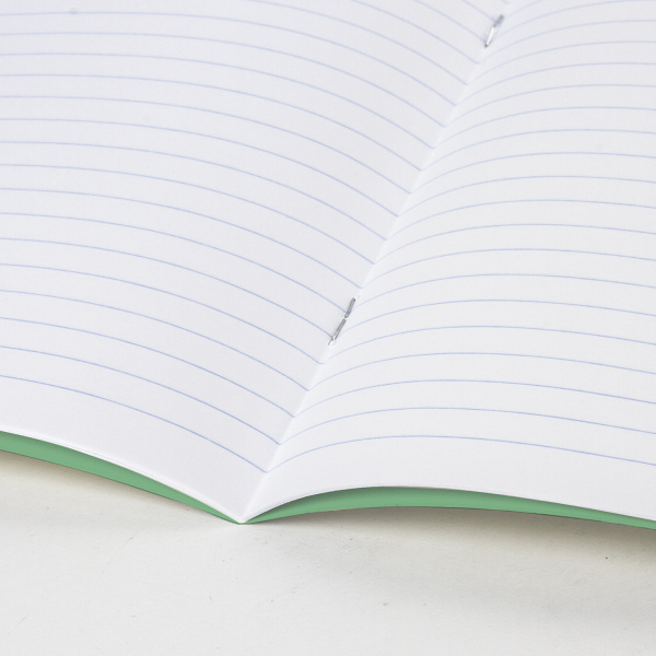 Тетрадь ВЕЛИКИЕ ИМЕНА. Чехов А.П., 12 л. линия, плотная бумага 80 г/м2, обложка тонированный офсет, BRAUBERG, 1 шт, 105716 - Тетради 12-24 листов