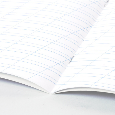 Тетради 12 л. КОМПЛЕКТ 20 шт. BRAUBERG "КЛАССИКА NEW", косая линия, обложка картон, ЗЕЛЕНАЯ, 880050 - Тетради 12-24 листов