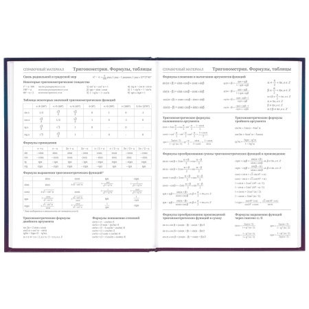 Дневник 5-11 класс 48 л., твердый, BRAUBERG, глянцевая ламинация, с подсказом, "Spaceman", 106407 - Дневники для старших классов