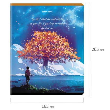 Тетради КОМПЛЕКТ 5 шт., А5, 96 л., BRAUBERG скоба, клетка, глянцевый лак, "Dream World", 404402 - Тетради более 60 листов