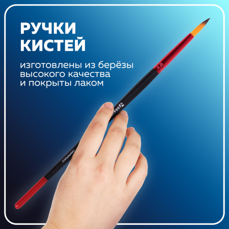Кисти BRAUBERG PREMIUM, набор 10 шт. (синтетика, круглые № 1, 2, 3, 5, 8, плоские № 2, 4, 6, 8, 10), 201027 - Кисти для рисования