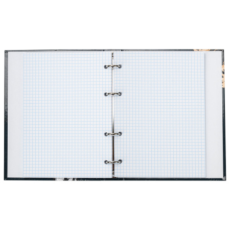 Тетрадь на кольцах А5 (165х215 мм), 120 листов, твердый картон, клетка, BRAUBERG, SpaceX, 404081 - Тетради на кольцах и сменные блоки к ним