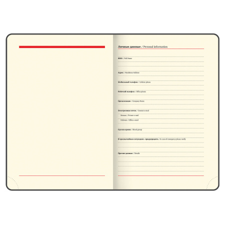 Ежедневник недатированный А5 138х213 мм BRAUBERG "Iguana" под кожу, 160 л., черный, 125089 - Ежедневники с покрытием "под кожу и ткань"