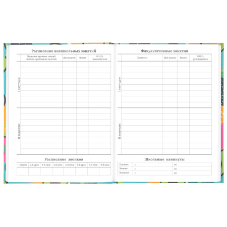 Дневник 5-11 класс 48 л., твердый, BRAUBERG, блестки, с подсказом, "Avocado", 106419 - Дневники для старших классов