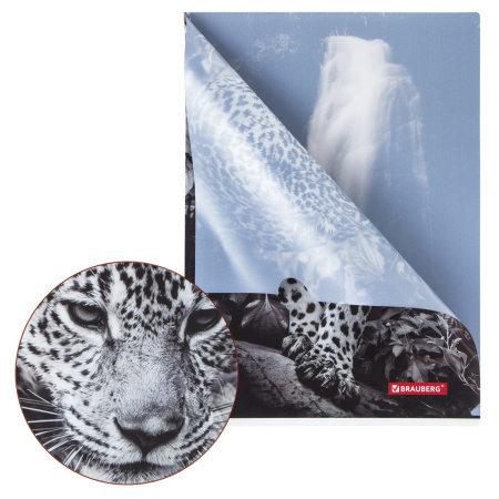 Папка-уголок BRAUBERG "LEOPARD", А4, 150 мкм, цветная печать, 228040 - Папки-уголки пластиковые