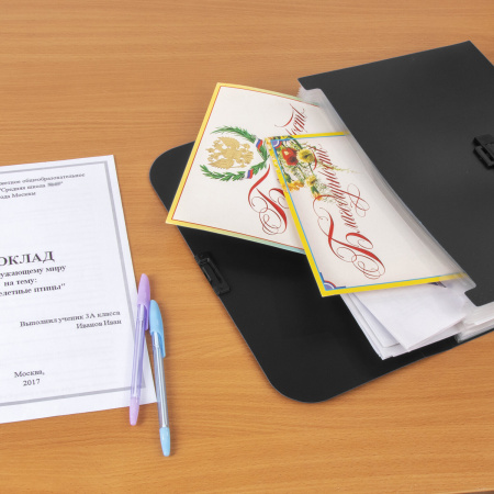 Портфель пластиковый STAFF А4 (330х235х36 мм), 13 отделений, индексные ярлыки, черный, 229245 - Портфели пластиковые