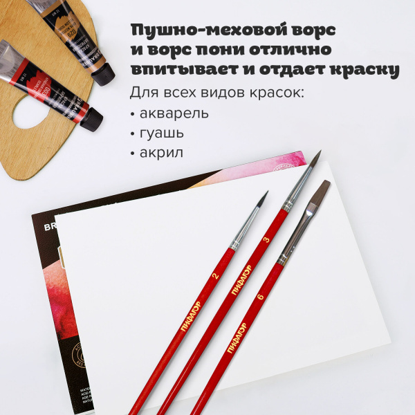 Кисти ПИФАГОР, набор 3 шт. (пушно-меховая: круглая № 2, плоская № 6; ПОНИ: круглая № 3), пакет с европодвесом, 200230 - Кисти для рисования