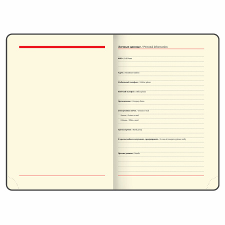 Ежедневник недатированный А5 (138х213 мм), BRAUBERG VISTA, под кожу, гибкий, 136 л., "Dreamcatcher", 111996 - Ежедневники с покрытием "под кожу и ткань"