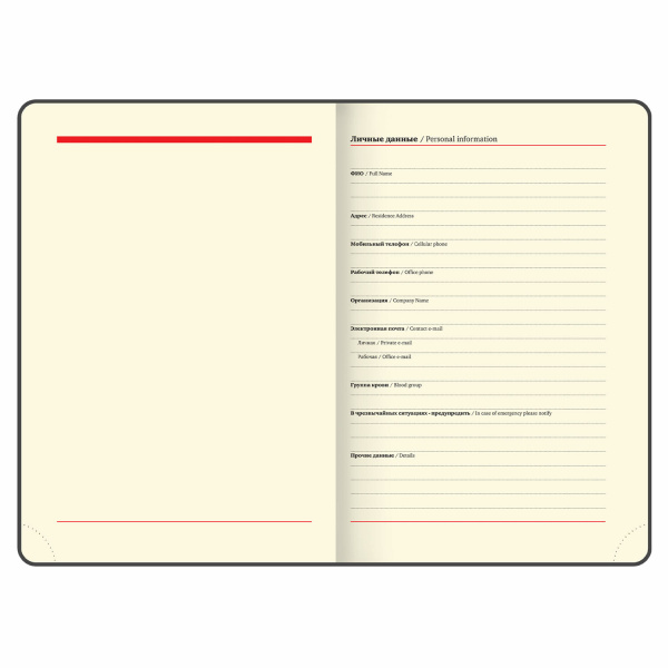 Ежедневник недатированный А5 (138х213 мм), BRAUBERG VISTA, под кожу, гибкий, 136 л., "Dreamcatcher", 111996 - Ежедневники с покрытием "под кожу и ткань"