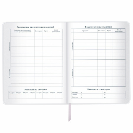 Дневник 1-11 класс 48 л., кожзам (гибкая), печать, фольга, BRAUBERG, "Insight", 106176 - Дневники универсальные